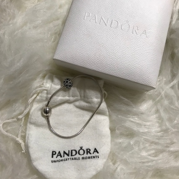 Jewelry - Pandora Bracelet